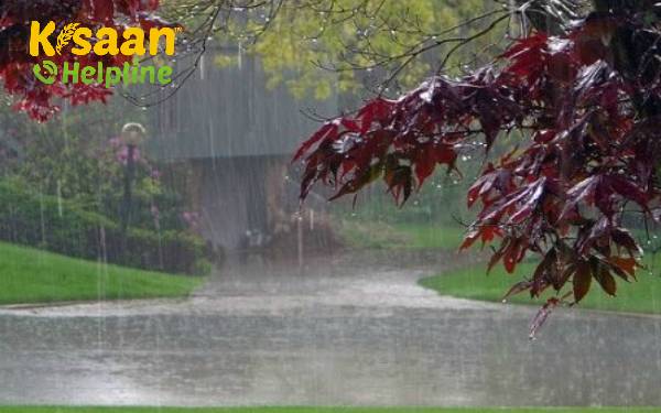 औसत से अधिक मानसून खरीफ की संभावनाओं को तेज करता है, आरबीआई द्वारा अधिक आवास के लिए अनुकूल: रिपोर्ट